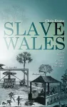 Slave Wales cover
