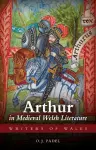 Arthur in Medieval Welsh Literature cover