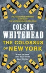 The Colossus of New York cover