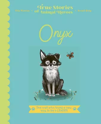 Onyx cover