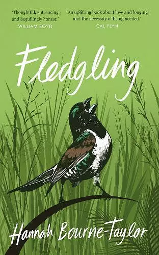 Fledgling cover