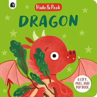 Dragon cover