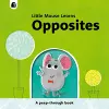 Opposites cover