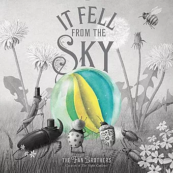 It Fell From The Sky cover