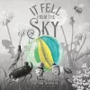 It Fell From The Sky cover