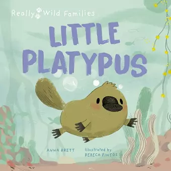 Little Platypus cover