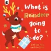 What is Reindeer Going to do? cover