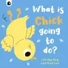 What Is Chick Going to Do? cover