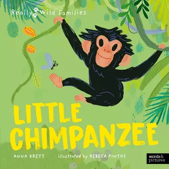 Little Chimpanzee cover