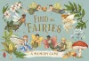 Find the Fairies cover
