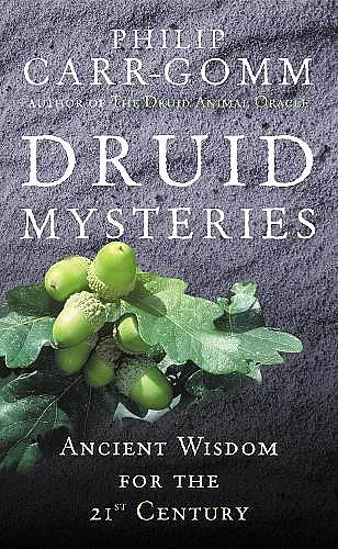 Druid Mysteries cover