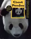 Giant Pandas cover