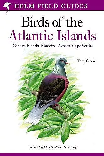 A Field Guide to the Birds of the Atlantic Islands cover