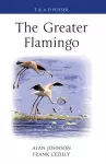 The Greater Flamingo cover