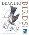 Drawing Birds cover