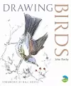 Drawing Birds cover