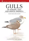 Gulls of Europe, Asia and North America cover