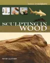 Sculpting in Wood cover