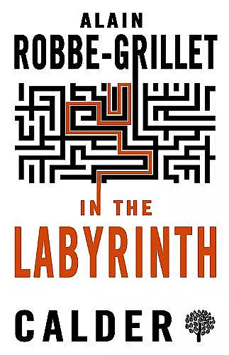 In the Labyrinth cover