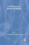 Civil Society in Democratization cover