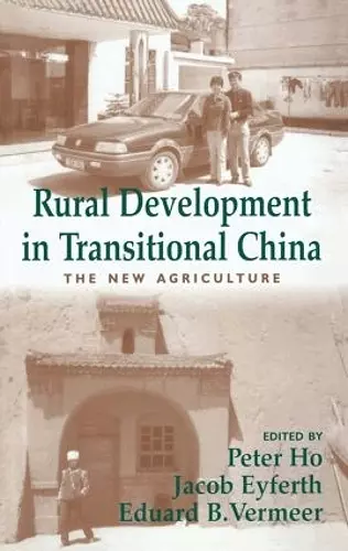 Rural Development in Transitional China cover