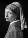 Vermeer cover