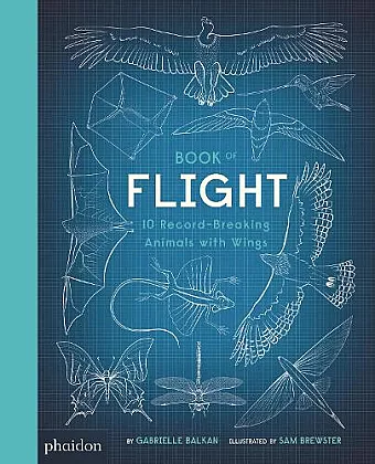 Book of Flight cover