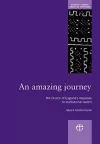 An Amazing Journey cover