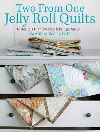 Two from One Jelly Roll Quilts cover