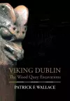 Viking Dublin cover