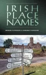 Irish Place Names cover