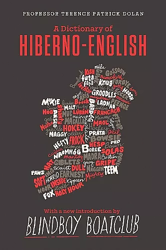 A Dictionary of Hiberno English cover