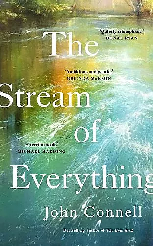 The Stream of Everything cover