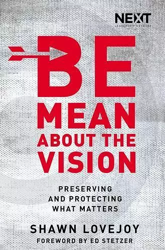 Be Mean About the Vision cover