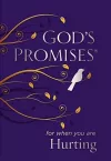God's Promises for When You are Hurting cover