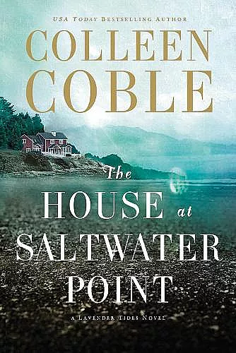 The House at Saltwater Point cover