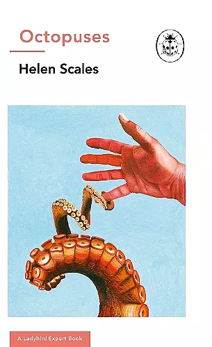 Octopuses: A Ladybird Expert Book cover