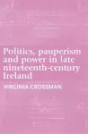 Politics, Pauperism and Power in Late Nineteenth-Century Ireland cover