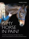 Is My Horse in Pain? cover