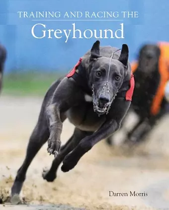 Training and Racing the Greyhound cover