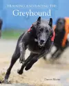 Training and Racing the Greyhound cover