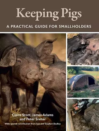 Keeping Pigs cover