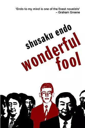 Wonderful Fool cover