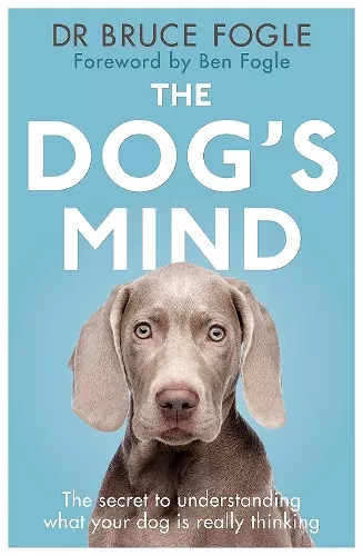 The Dog's Mind cover