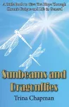 Sunbeams and Dragonflies cover