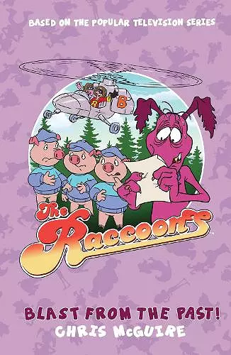 The Raccoons - Blast from the Past cover