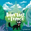 Binx Lost in France cover