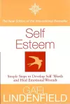 Self Esteem cover