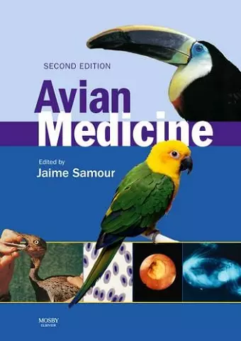 Avian Medicine cover