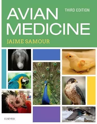 Avian Medicine cover